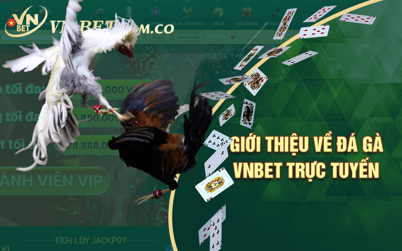 Đá-gà-vnbet-trực-tuyến-2